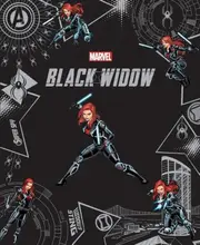 Black Widow (Marvel: Legends Collection #1)