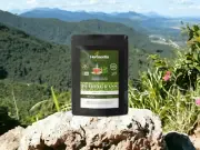 Lemongrass Tea - Immune System