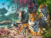Castorland - Tiger Sanctuary Puzzle 3000pc