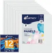 Canvas Panels 12x16 Inch 12-Pack 10 oz Primed 100% Cotton Canvases for Painti...