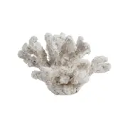 Maine & Crawford 7 Seas Resin 13cm Shell Ornament - White