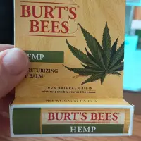 在飛比找蝦皮購物優惠-BURT'S BEES護唇膏