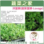 【蔬菜之家滿額免運】K15.洋當歸(圓葉當歸)種子80顆(葉深綠色大，而具芹菜香，莖中空，綠黃色繖形花)香草種子香草類種