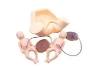 Advanced Medical Teaching Series Model Delivery Childbirth Mechanism Manikin