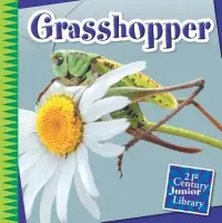 在飛比找博客來優惠-Grasshopper