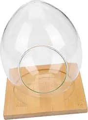 BESPORTBLE 1 Set Micro Landscape Glass Vase Egg Shaped Hydroponic Planter for Succulents Terrarium and Delicate Plants for Home Decor Present and Display