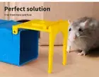 Mouse Rat Trap Cage Catch Capture Mice Bait Hamster Pest Control Reusable