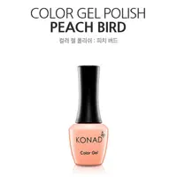 在飛比找PChome24h購物優惠-KONAD可卸式彩色凝膠-013 Peach Bird