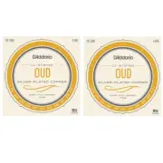 D'Addario Oud Strings 2-Pack EJ95 C#F#BEAD 11-String