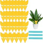 Defrsk 21 PCS Sticky Traps Sticky Fungus Traps Fruit Fly Traps Yellow Double-Sided Fly Paper Sticky (Style 3)