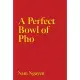 A Perfect Bowl of PHO