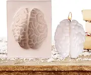 Organ Molds | Simulation Cake Mold with Heart Brain Shape - Organs Shape Silicone Molds, Christmas Fondant Cake Decorating Tools for Candles, Chocolate, Ice Cream
