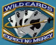 SAAB Space: Above & Beyond Embroidered Iron-on Patch - Wild Cards