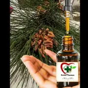 ORGANIC Pine Pollen Tincture Concentrate Herb Extract Herbal Liquid NO FILLERS