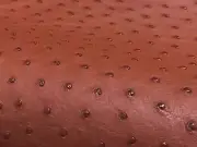 Ostrich Leather Hide Gerbera Color CF