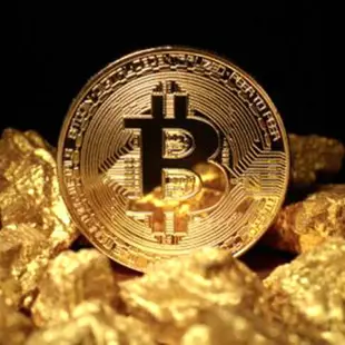 24K 仿金 Bitcoin 金幣BTC外幣美元世界錢幣 比特 紀念幣硬幣