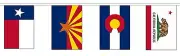 50 STATES OF THE USA BUNTING 15 metres 50 flags flag UNITED STATES OF AMERICA