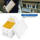 Mini Beekeeping King Box Foam Bee Hive Beekeeper Mating Supplies Beekeeper