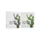 Neogence Cactus Moisturizing Mask 8pcs | Sasa Global eShop