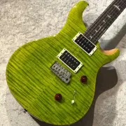 Paul Reed Smith PRS A piece that feels nature! SE Custom24 -Eriza Verde- #G00561