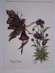 Purple Poppy Papaver Somniferum Faerie FAIRY POSTCARD ART PRINT BY AMY BROWN