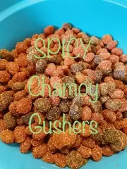 Dulces Enchilados - Chili Gushers - Spicy Gushers - Gusher Chamoy Candy
