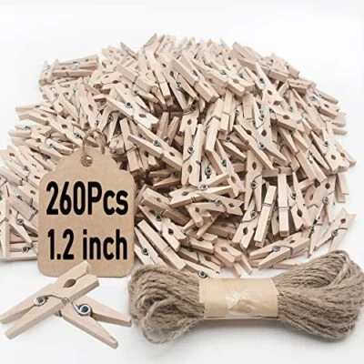 260 Pcs 1.2 Inch Mini Clothes Pins Photo Holder Clip with Jute Twine for Photo