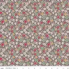 AUTUMN COSMOS IN MILK CAN BY LORI HOLT RILEY BLAKE 1930s REPRO CALICO FABRIC HY