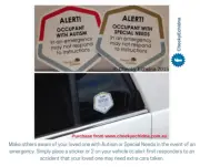 Autism and Special Needs Alert! Stickers