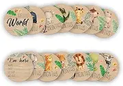 Baby Monthly Milestone Cards, Jungle Animals Wooden Discs for Baby Photo Takens with Hello World Signs - 14 Sides Round Circles Signs for documenting Growth