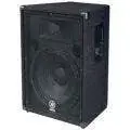 BR15 15" 2 Way Passive PA Cabinet