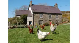 威爾斯南特維費有機農場住宿加早餐旅館Nantgwynfaen Organic Farm B&B Wales