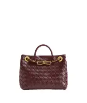 Bottega Veneta Small Andiamo Chain $4800 Madder Brown Leather Top Handle Bag New