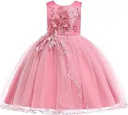 [LENEFU] Girls Party Dress, Birthday Girl Dresses, Suitable Birthdays Flower Girl Dresses for Weddings and Other Special Occasions for Ages 2-10