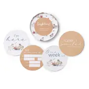 Snuggle Hunny Pony Pals & Pebble Reversible Milestone Cards