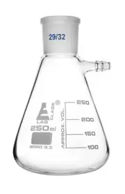 Eisco Labs 250ml Buchner Filtering Flask with 29/32 Joint - Borosilicate Glass
