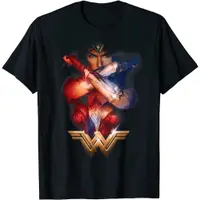 在飛比找蝦皮購物優惠-DC超級英雄神力女超人（神奇女俠）男士百分百純棉圓領短袖T恤