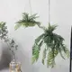 北歐ins蕨類植物吊球 仿真垂吊綠植 波士頓蕨鹿角蕨壁掛擺件裝飾