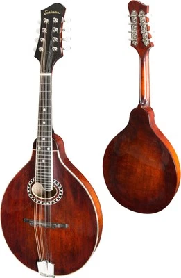 Eastman MD504 Mandolin A-Style with Hardshell Case