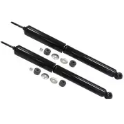 SET-TS37231-2 Monroe Shock Absorber and Strut Assemblies Set of 2 for Kia Pair (for: Kia)