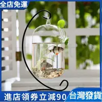 在飛比找蝦皮購物優惠-【免運發貨】現貨 ins风 轻奢買就送裝飾彩石和裝飾水草懸掛