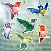 12 Pcs Double Sided Screen Door Magnets Mesh Protector for Pet Bird Strike