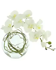 Creative Displays Orchid Floral in Glass Vase with Vines