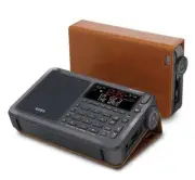 Etón NELITEEXECUTIVE Shortwave Satellite Radio