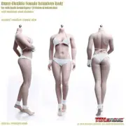 TBleague 1/6 PHMB2019-S29B Mid Bust Seamless Suntan Buxom Woman Body Figure Toys