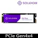 Solidigm P41 Plus系列 512G M.2 2280 PCI-E 固態硬碟