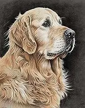 MaiYiYi Golden Retriever Dog Diamond Painting, 5D Full Round Drill Cute Dog Diamond Painting by Numbers, Puppy Paint with Gems for Adults Beginners Wall Decor Art (30 x 40 cm)