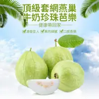 在飛比找momo購物網優惠-【WANG 蔬果】頂級套網燕巢牛奶珍珠芭樂(10斤±10%)