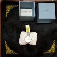 在飛比找蝦皮購物優惠-Skagen金屬網狀可調整式手錶，銀色#skagen #手錶