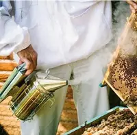 在飛比找樂天市場購物網優惠-搖蜜機養蜂工具蜜蜂專用不銹鋼噴煙熏煙器取蜜敢蜂用蜂箱搖蜜機驅